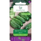 Nasiona i cebule - Ogórek konserwowy Tytus F1 nasiona W.Legutko - miniaturka - grafika 1