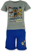 Dresy i komplety dla dziewczynek - Letni komplet dla chłopca na lato Psi Patrol Szary - miniaturka - grafika 1