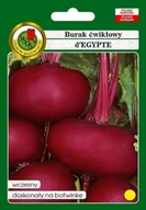 Nasiona i cebule - Burak ćwikłowy D'Egypte 100 g PNOS - miniaturka - grafika 1