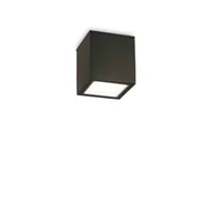 Lampy ogrodowe - Ideal Lux Lampa sufitowa zewnętrzna TECHO PL1 SMALL czarna 251578 251578/IL - miniaturka - grafika 1