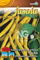 Nasiona i cebule - Fasola żółta karłowa Polka 50g / L / - miniaturka - grafika 1