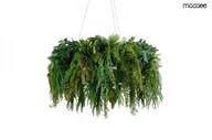 Lampy sufitowe - MOOSEE lampa wisząca GARDENS 70 czarna - miniaturka - grafika 1