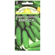Nasiona i cebule - Ogórek konserwowy kmicic mieszaniec mieszaniec 2 POLAN - miniaturka - grafika 1