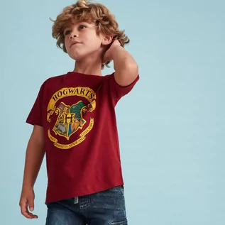 Koszulki dla chłopców - Reserved - T-shirt Harry Potter - Bordowy - grafika 1