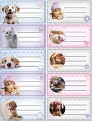 Szkolne artykuły papiernicze - naklejki nalepki na zeszyty 10 szt PIES KOT pieski kotki pastel - miniaturka - grafika 1