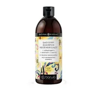 Szampony do włosów - Barwa Natural Expert regenerujący szampon do włosów zniszczonych 480ml - miniaturka - grafika 1