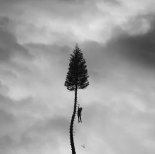 Manchester Orchestra: A Black Mile To The Surface - Muzyka klasyczna - miniaturka - grafika 1