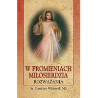 Religia i religioznawstwo - W promieniach miłosierdzia BR - miniaturka - grafika 1