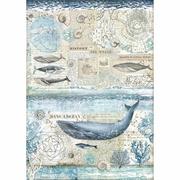 Decoupage - Stamperia, Papier ryżowy A3 historia wieloryba - miniaturka - grafika 1