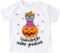 Koszulki dla dziewczynek - koszulka na dzień dyni na halloween - miniaturka - grafika 1