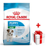 Sucha karma dla psów - ROYAL CANIN Mini Puppy 2kg karma sucha dla szczeniąt, od 2 do 10 miesiąca życia, ras małych + niespodzianka dla psa GRATIS! - miniaturka - grafika 1