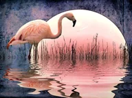 Malowanie po numerach - Obraz Malowanie Po Numerach Na Krośnie + Rama - miniaturka - grafika 1