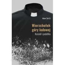 Wierzchołek góry lodowej Adam Żak - Publicystyka - miniaturka - grafika 1