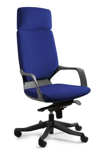 Fotel biurowy, krzesło biurowe Fotel, krzesło biurkowe, Apollo, czarny, royalblue - Fotele i krzesła biurowe Fotel biurowy, krzesło biurowe Fotel, krzesło biurkowe, Apollo, czarny, royalblue - Fotele i krzesła biurowe - miniaturka - grafika 1