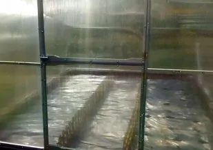 Emaga Szklarnia Maja 30m2 (3x10 m) poliwęglan 4 mm - Szklarnie ogrodowe Emaga Szklarnia Maja 30m2 (3x10 m) poliwęglan 4 mm - Szklarnie ogrodowe - miniaturka - grafika 6