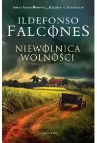 Niewolnica wolności - Literatura obyczajowa - miniaturka - grafika 1