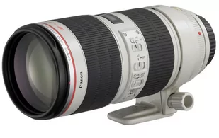 Obiektyw Canon EF 100-400mm f/4.5-5.6 L IS II USM (9524B005AA) - Obiektywy - miniaturka - grafika 1