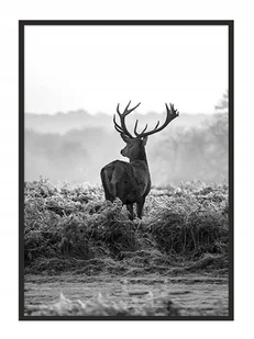 Plakat w ramie E-DRUK Jeleń, 33x43 cm - Plakaty - miniaturka - grafika 1