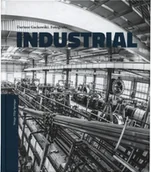 Albumy - fotografia - Industrial. Fotografia - miniaturka - grafika 1