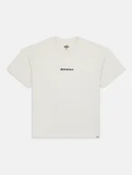 Koszulki męskie - t-shirt uomo dickies enterprise tee dk0a4yrn f901 whitecap gray - miniaturka - grafika 1