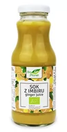 Soki i napoje niegazowane - Bio Planet Sok z Imbiru NFC 250ml - Planet - miniaturka - grafika 1