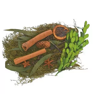 Zestaw naturalny Susz ozdobny pomarańcza anyż cynamon zielone gałązki - Ozdoby bożonarodzeniowe - miniaturka - grafika 1
