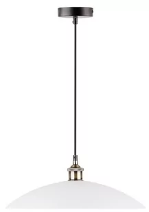 Candellux DEXTER LAMPA WISZÄCA 1X60W E27 31-77721 31-77721 - Lampy sufitowe - miniaturka - grafika 1