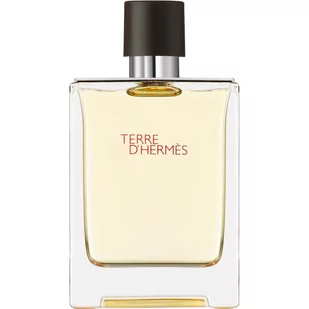 Hermes Terre DHermes EDT 100ml 400003 - Wody i perfumy męskie - miniaturka - grafika 1