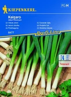 Nasiona i cebule - Czosnek Dęty Kaigaro – Kiepenkerl - miniaturka - grafika 1
