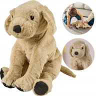 Maskotki i pluszaki - Pluszak maskotka przytulanka Pies piesek Golden Retriever 40cm GOSIG GOLDEN - miniaturka - grafika 1
