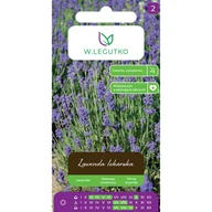Nasiona i cebule - Lawenda lekarska nasiona W.Legutko - miniaturka - grafika 1