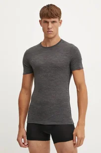 Icebreaker t-shirt funkcyjny Merino 150 Anatomica kolor szary IB1030330111 - Bielizna sportowa męska - miniaturka - grafika 1