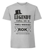 Swetry damskie - Damska koszulka z nadrukiem - Labrador - sweter Pastelowy szary XXL - miniaturka - grafika 1