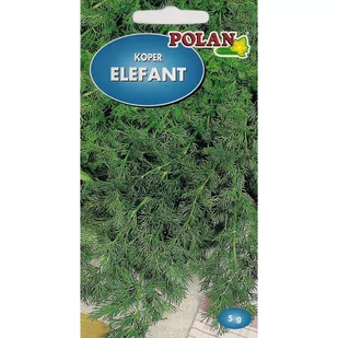 Koper Elefant 5g Polan - Nasiona i cebule - miniaturka - grafika 1