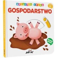Literatura popularno naukowa dla młodzieży - Motoryka Smyka Gospodarstwo - miniaturka - grafika 1