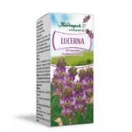 Suplementy naturalne - HERBAPOL KRAKÓW Lucerna 30kaps. HERBAPOL KRAKÓW 21HEWKAPLU - miniaturka - grafika 1