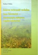 Książki o kulturze i sztuce - Solowa twórczość wokalna Jana Sztwiertni - miniaturka - grafika 1