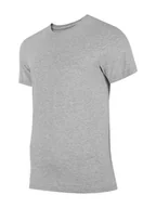 Koszulki męskie - Koszulka Męska Tsm352 4F-Xxl - miniaturka - grafika 1