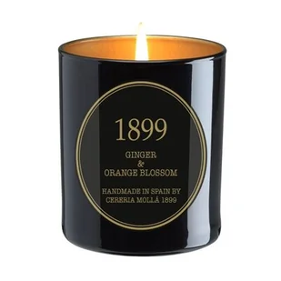 Cereria Molla - Świeca Premium 230 gr Ginger & Orange Blossom - Świece - miniaturka - grafika 1