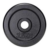 Obciążenia - Obciążenie żeliwne 2,5 kg AbarQs - miniaturka - grafika 1