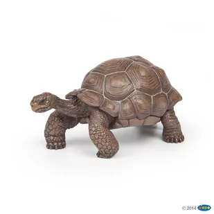 Papo Żółw słoniowy (50161) - Figurki dla dzieci - miniaturka - grafika 1