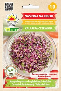 Nasiona Na Kiełki - Kalarepa Czerwona - Nasiona i cebule - miniaturka - grafika 1