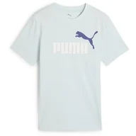 Koszulki męskie - ESS 2 kolor nr 1 logo koszulka B - miniaturka - grafika 1