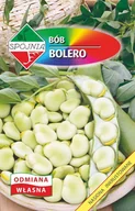 Nasiona i cebule - NASIONA Bób Bolero 50g SPÓJNIA Wczesna Odmiana Duże Nasiona 602043 - miniaturka - grafika 1