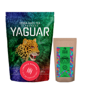 Yerba Mate - Zestaw Yerba Mate 0,5kg Guayusa Organiczna 100g - miniaturka - grafika 1