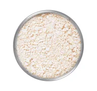Pudry do twarzy - KRYOLAN Translucent Powder, transparentny puder do twarzy 11, 60 g - miniaturka - grafika 1