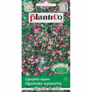 Nasiona Gipsówka Wytworna Karminowa 1 Gram Plantico - Nasiona i cebule - miniaturka - grafika 1