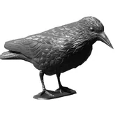 Zwalczanie i odstraszanie szkodników - GardenPlus+ KRUK ODSTRASZAJĄCY PTAKI PTA9240 - miniaturka - grafika 1