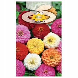 CYNIA DALIOWA MIESZANKA duża paczka NASIONA - Nasiona i cebule - miniaturka - grafika 1