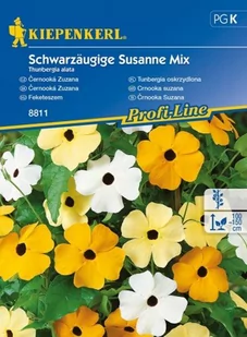 Kiepenkerl Tunbergia oskrzydlona Mix Thunbergia alata 102381 - Nasiona i cebule - miniaturka - grafika 1